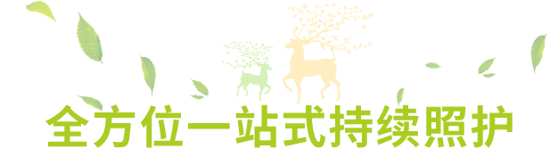 <br/>